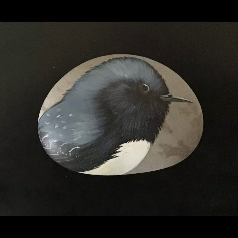 Birds Of Canada Rock Blue Warbler Paperweight 1988